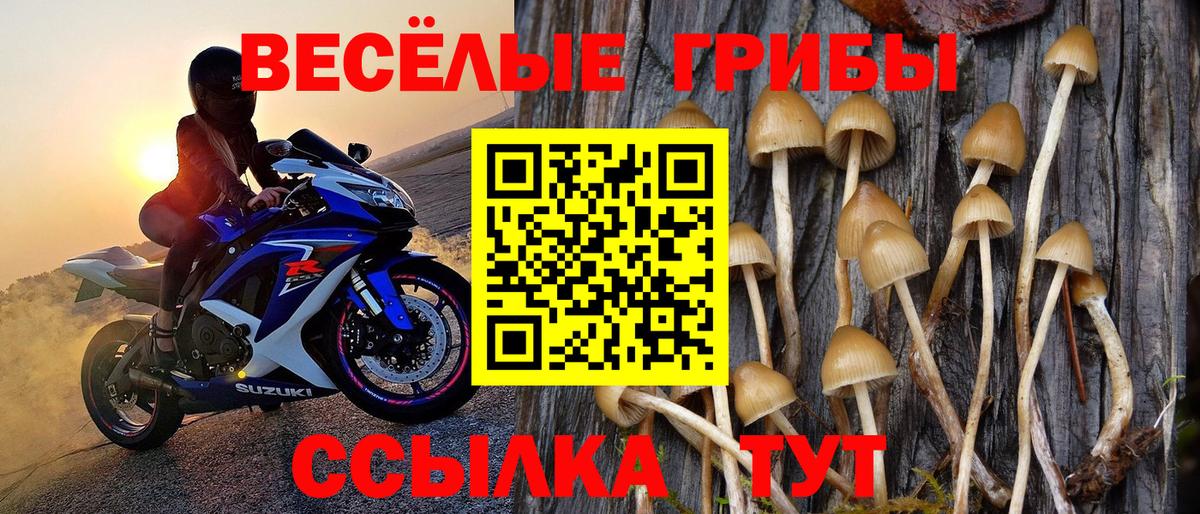 Берёзовский  Галлюциногенные грибы прущие грибы  Вход с VPN  Галлюциногенные грибы MAGIC MUSHROOMS 