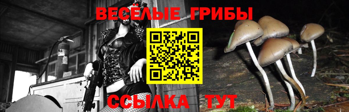 Галлюциногенные грибы прущие грибы Берёзовский